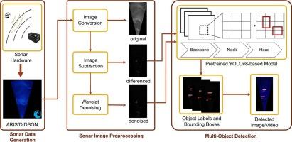Towards automated and real-time multi-object detection of anguilliform fishes from sonar data using YOLOv8 deep learning algorithm