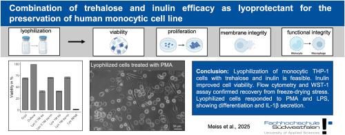 Combination of trehalose and inulin efficacy as lyoprotectant for the preservation of human monocytic cell line