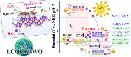 Lignin derived carbon quantum dots and oxygen vacancies coregulated S-scheme LCQDs/Bi2WO6 heterojunction for photocatalytic H2O2 production
