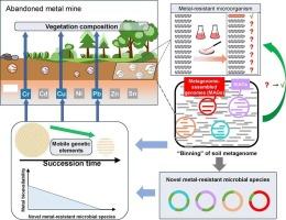Recognition of novel metal-resistant microbes and their potential resistance mechanisms in metal mines