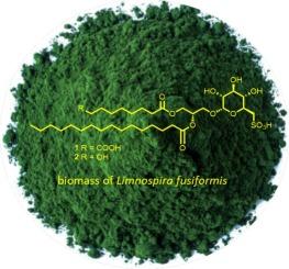 In vitro anti-influenza potential of glyceroglycolipids from cyanobacteria Limnospira fusiformis