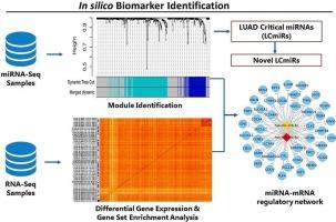 Transcriptome analysis reveals crucial oncogenic and tumor suppressor miRNAs in lung adenocarcinoma