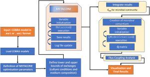 METACONE: A scalable framework for exploring the conversion cone of metabolic networks