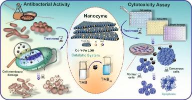 Synthesis and multifaceted characterization of bioactive Co-Y-Fe layered double hydroxide: bridging peroxidase-mimic function with antibacterial and anticancer efficacy in a unified strategy