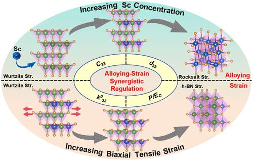 Strain Engineering Boosts Piezo-/Ferroelectricity in AlScN Alloy: Insights from First-Principles Calculations