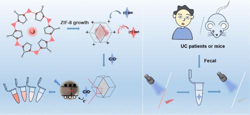 Tailored Quantum Dots@Metal–Organic Frameworks for Enhanced Hypochlorite Detection in Live Cells and Ulcerative Colitis Diagnosis