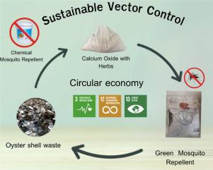 Circular economy valorization of oyster shell waste for biological control of Aedes aegypti mosquito larvae