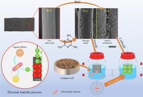 Nitrogen-doped and catalytically modified electrodes in campus-sourced electrogenic microbe-driven MFCs for enhanced copper ion adsorption