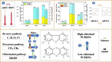 Distribution characteristics and formation mechanisms of PCDD/Fs during pyrolysis and gasification of municipal solid waste