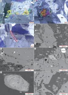 Petrogenesis of Neoproterozoic Adakite-Like Rocks in the Southwestern Part of the Western Dharwar Craton, South India