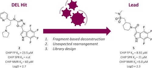 Discovery of Small-Molecule Ligands for the E3 Ligase STUB1/CHIP from a DNA-Encoded Library Screen