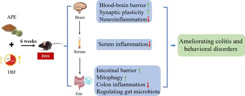 Beneficial Effects of Apple Polyphenol Extract and Time-Restricted Feeding on Ulcerative Colitis and Accompanying Depression-like Behaviors Are Correlated with Gut–Brain Axis Modulation