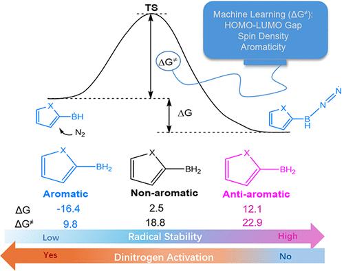Antiaromaticity-Promoted Radical Stability in Boryl Heterocyclics and Its Application to Dinitrogen Activation: A Combined DFT and Machine Learning Study