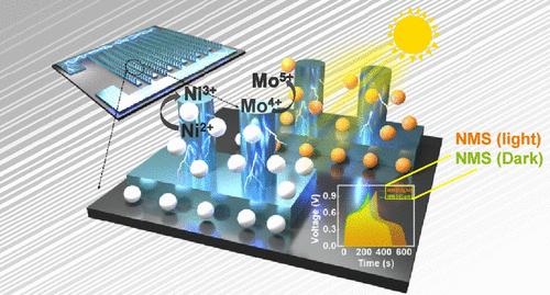 A Microwire Embedded with a NiSe2/MoSe2 Microsupercapacitor with Photoinduced Ultrahigh-Energy Amplification