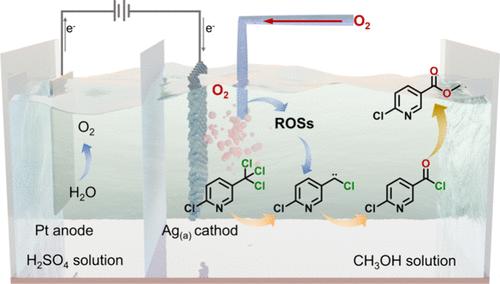 Electrochemical Oxygen Reduction Reaction-Coupled Dechlorination Promoting Acylation Reaction for Aromatic Ester Synthesis