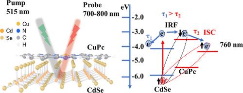 Interfacial Charge-Carrier Dynamics in CuPc/CdSe Excitonic Heterostructures Studied by Pump–Probe Spectroscopy