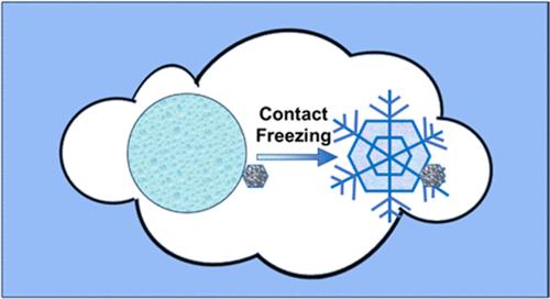 Contact Freezing of Water Droplets by Crystalline Organic Acids
