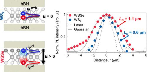 Exciton Dynamics in Janus WSSe Driven by Structural Asymmetry