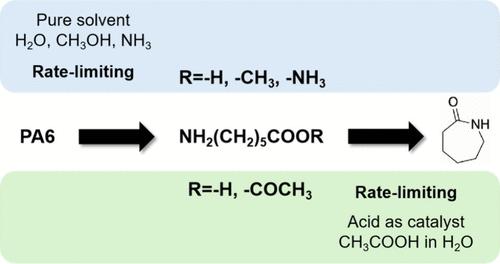 Molecular Insights into Hydrolysis, Alcoholysis, Ammonolysis, and Acidolysis of Polyamide 6
