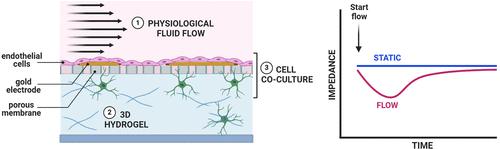 A Microfluidic Barrier-on-Chip Platform with Integrated Porous Membrane Cell–Substrate Impedance Spectroscopy