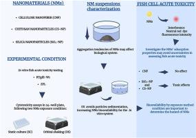 Exploring the applicability of the RTgill-W1 and ZFL cell line assays in aquatic hazard assessment of mineral and organic nanomaterials