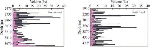 Exploring the geochemical, petrographic, and palynological signatures: An analysis of the Mungaroo Formation source rock potential in the Exmouth Plateau, Northern Carnarvon Basin, Australia