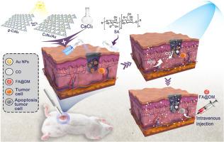 Photocatalytic CO-releasing spray hydrogel for in situ postoperative cancer treatment