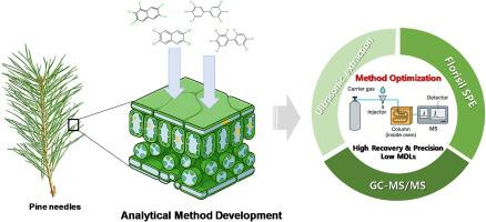 Development and performance evaluation of an analytical method for the analysis of polychlorinated naphthalenes (PCNs) and polychlorinated biphenyls (PCBs) accumulated in pine needles
