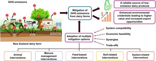 Greenhouse gas mitigation in pasture-based dairy production systems in New Zealand: A review of mitigation options and their interactions