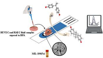 A simple MOF-based nanosensor for bisphenol A detection: in vitro application in supernatant of human endothelial cell models