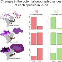 Impact of climate change on the distribution of Tityus scorpions (Buthidae) in the Amazon: Implications for conservation units and indigenous territories