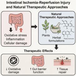 Natural compounds targeting inflammation and oxidative stress in intestinal ischemia-reperfusion injury: a comprehensive review