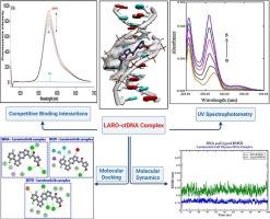 Unraveling the molecular interaction of Larotrectinib with calf thymus DNA: A comprehensive study using multi-spectroscopic, thermodynamic, and computational techniques