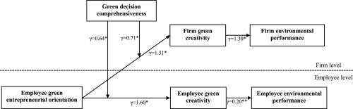 Leveraging employee green entrepreneurial orientation for enhancing environmental performance: The multi-level role of green creativity and green decision comprehensiveness
