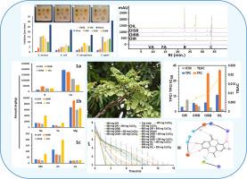 Quantification of phytochemicals of different parts of Oroxylum indicum (L.) Kurz for the evidence-based substitution of the official part (root) with aerial part