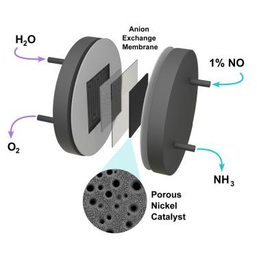 Efficient electrochemical conversion of nitric oxide to ammonia using a porous nickel catalyst in a membrane electrode assembly electrolyzer