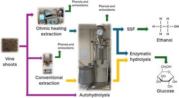 Bioconversion of vine shoots into renewable products using ohmic heating extraction and autohydrolysis