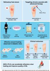 Safety and efficacy of long-shelf-life allogeneic adipose-derived mesenchymal stem cell line-derived platelet-like cells for refractory foot ulcers: A translational preclinical and phase 1/2a study