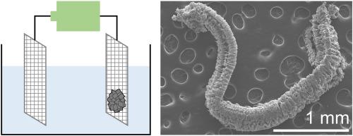 Electrochemical preparation of exfoliated graphite composites from a ferric chloride-graphite intercalation compound