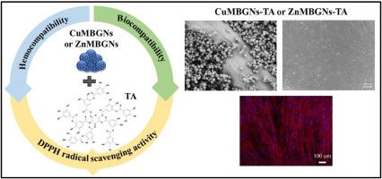 Tannic acid-loaded zinc- and copper-doped mesoporous bioactive glass nanoparticles: Potential antioxidant nanocarriers for wound healing