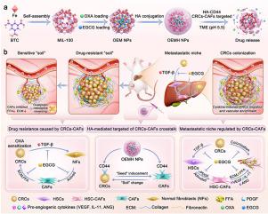CRCs-CAFs crosstalk-targeted nano-delivery system reprograms tumor microenvironment for oxaliplatin resistance reversing and liver metastasis inhibition in colorectal cancer