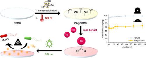 Stable, bioactive hydrogel coating on silicone surfaces for non-invasive decontamination via photochemical treatment