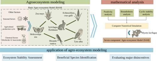 Modeling and analysis of maize agroecosystem dynamics with stresses