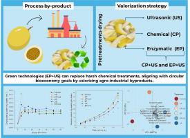 Integrated ultrasound, enzymatic, and chemical pretreatments for process intensification in the sustainable valorization of passion fruit peel