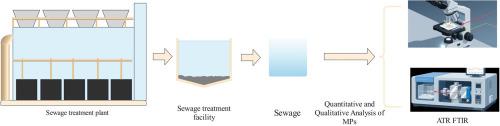 Characteristics and removal efficiency of microplastics in sewage treatment plants in typical northern cities
