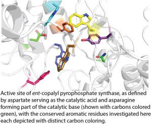 Investigating conserved aromatic residues in ent-copalyl pyrophosphate synthases required for gibberellin phytohormone biosynthesis