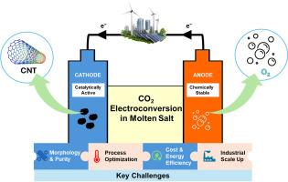 Electrode materials for electrochemical synthesis of carbon nanotube from CO2: Surface properties, mechanisms, and perspectives