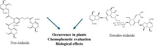 Tris- and tetrakis-iridoids: a review on their occurrence in plants, chemophenetic value and pharmacological activities