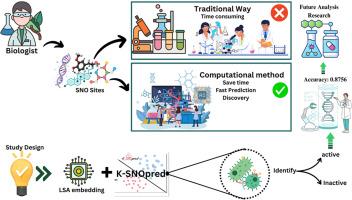 K-SNOpred: Identification of protein S-nitrosylation sites through word embedding features and machine learning