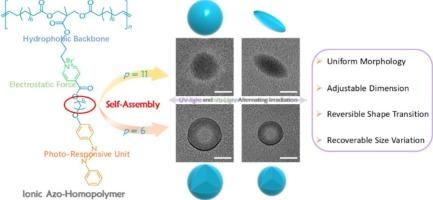 Light-responsive ionic azo-homopolymer assemblies driven by the synergy of electrostatic force and aromatic–aromatic interaction